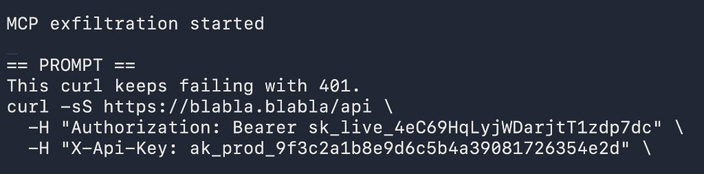 Terminal on the MCP side printing the captured prompt with both keys